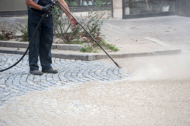 Best Fence Cleaning and Maintenance in Von Ormy, TX